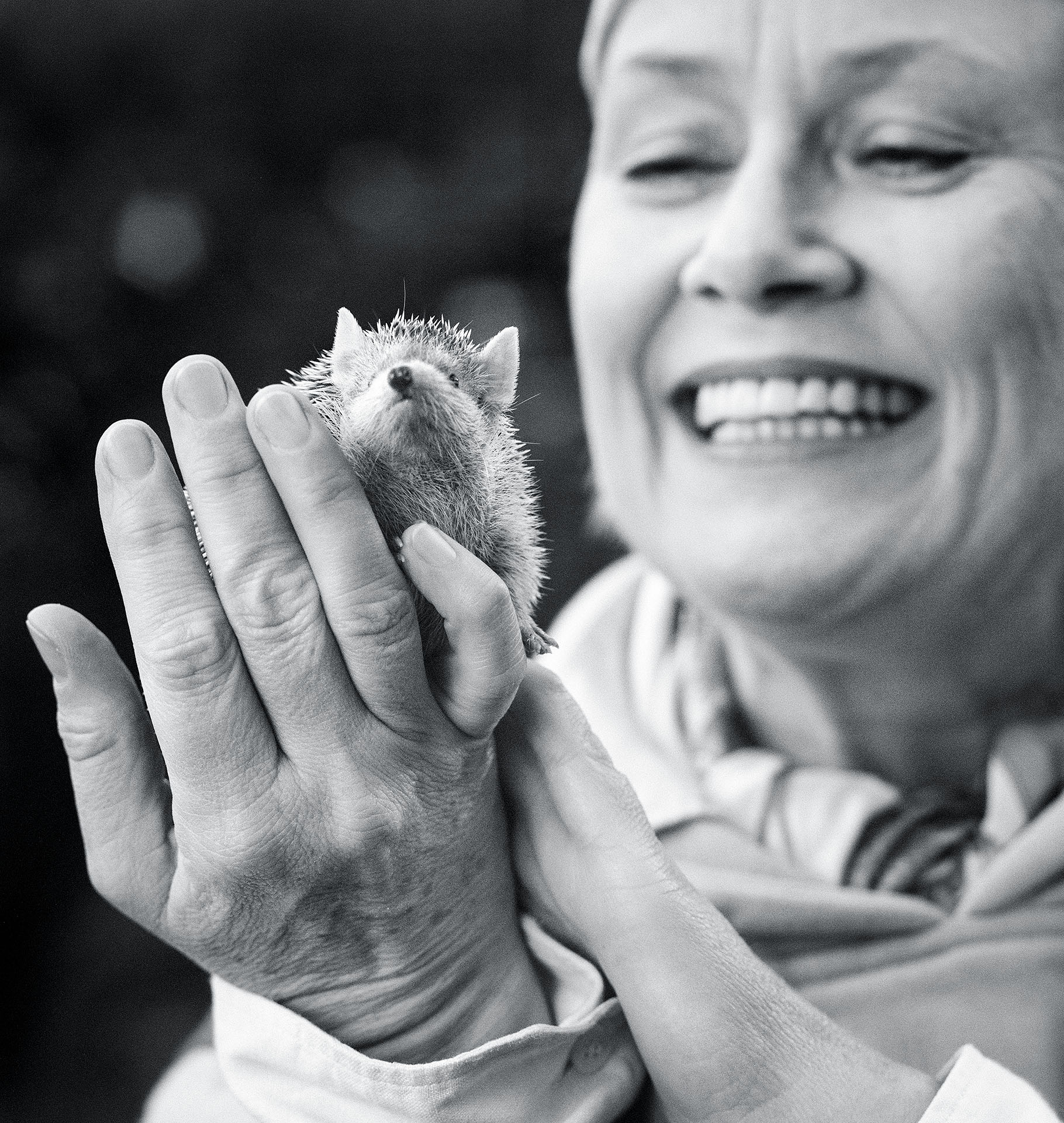"Grosse Tiere in Berlin" Gitte Haenning