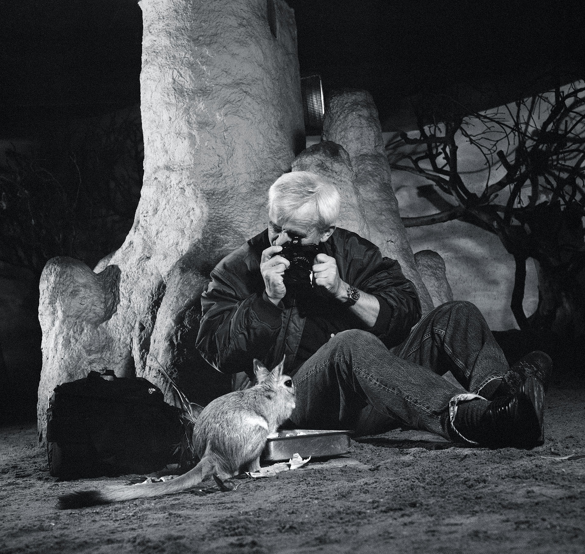 "Grosse Tiere in Berlin" Jim Rakete