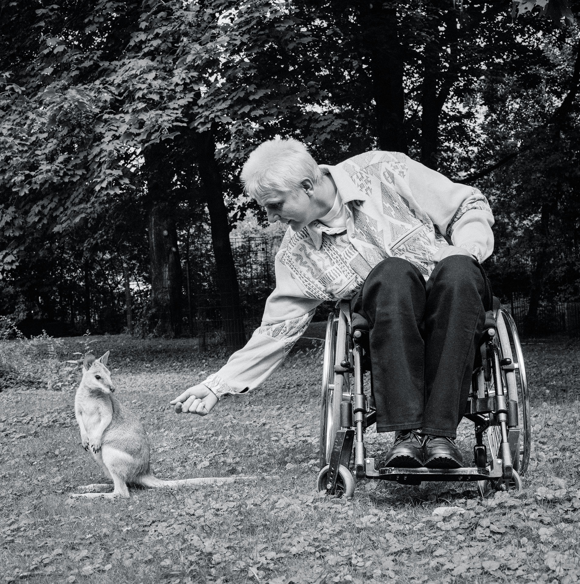 "Grosse Tiere in Berlin" Marianne Buggenhagen