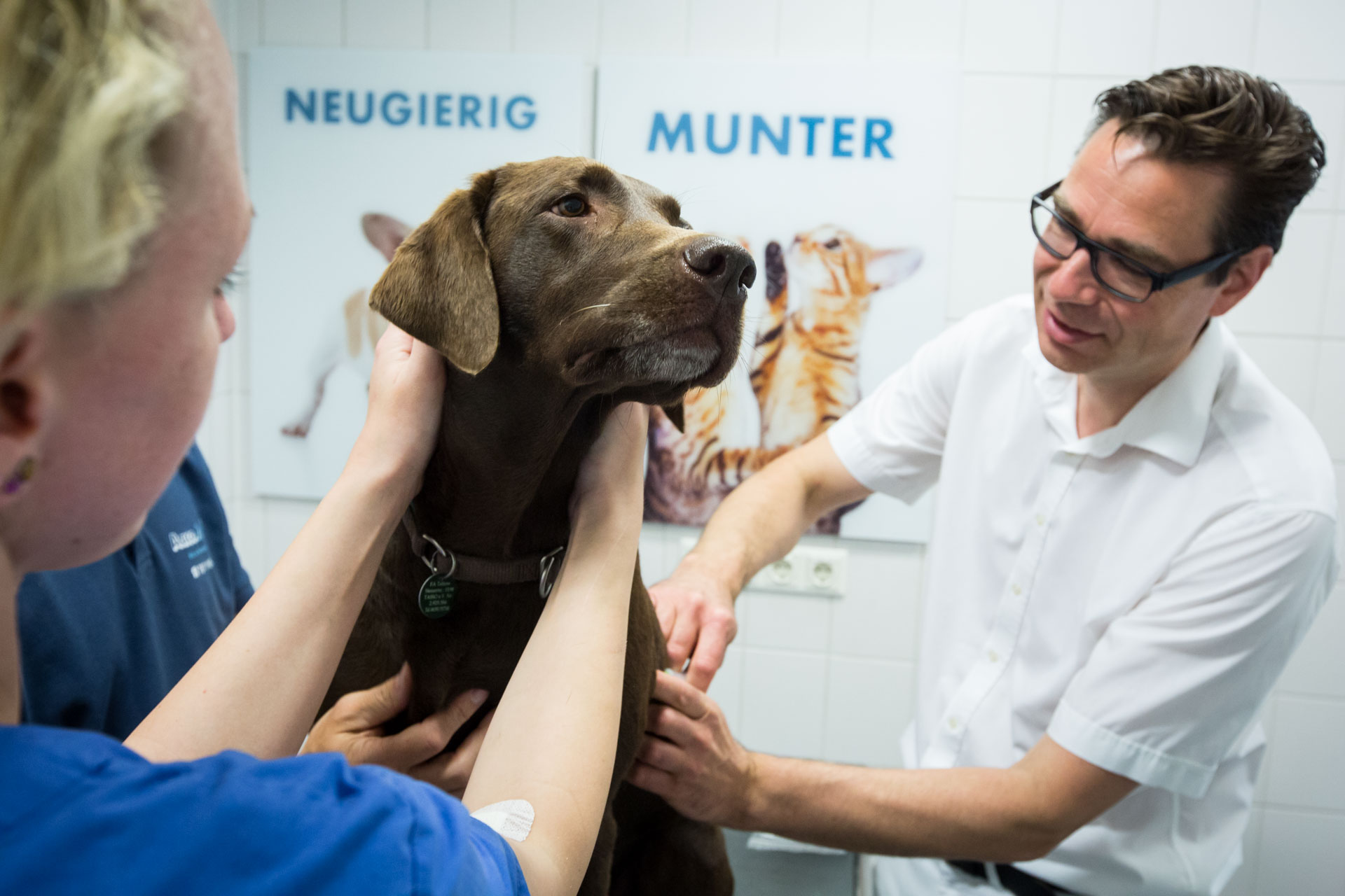 25 Fotos Fachtierarzt Dr. König
