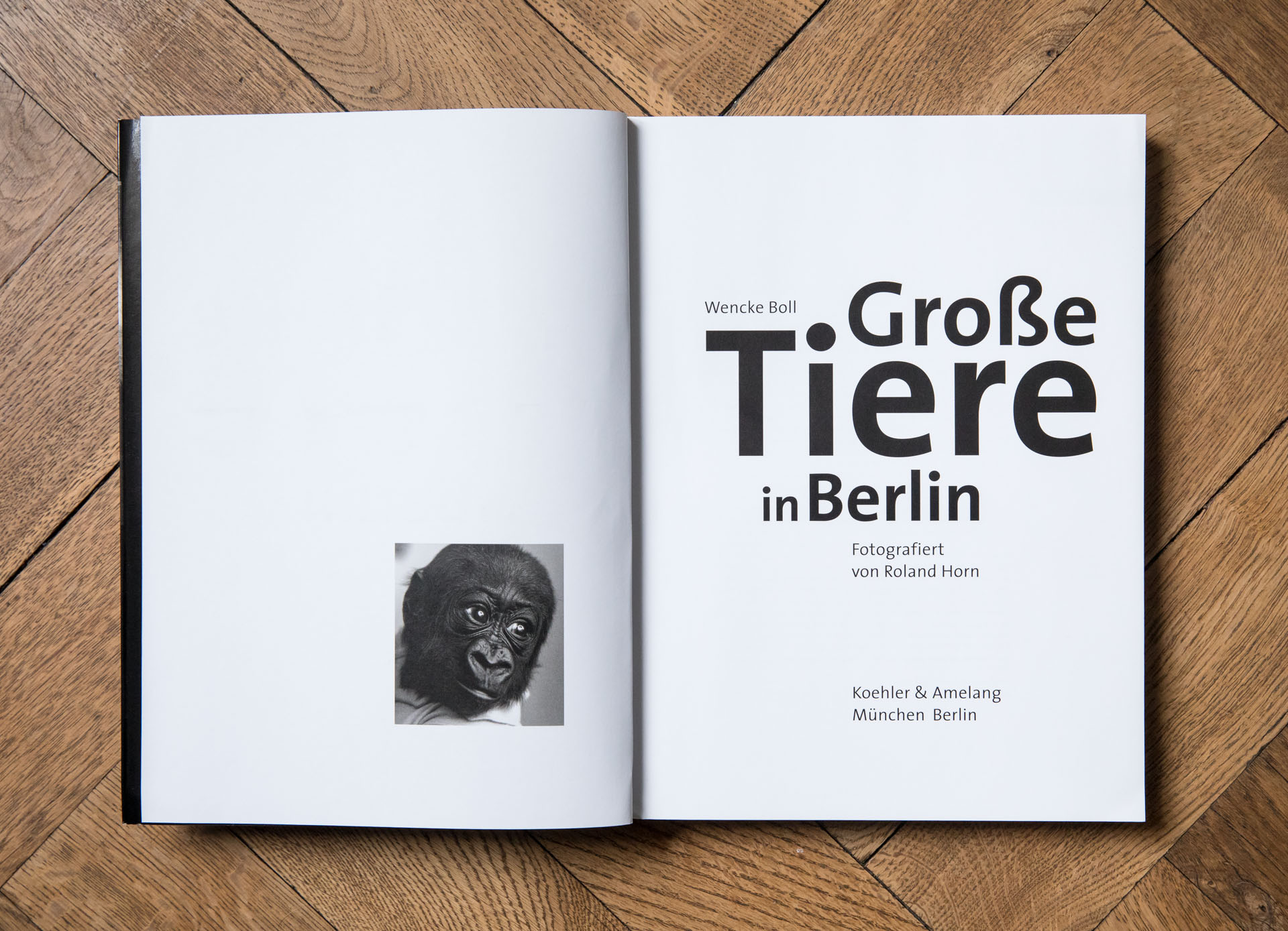 "Große Tiere in Berlin" Prominente im Berliner Zoo