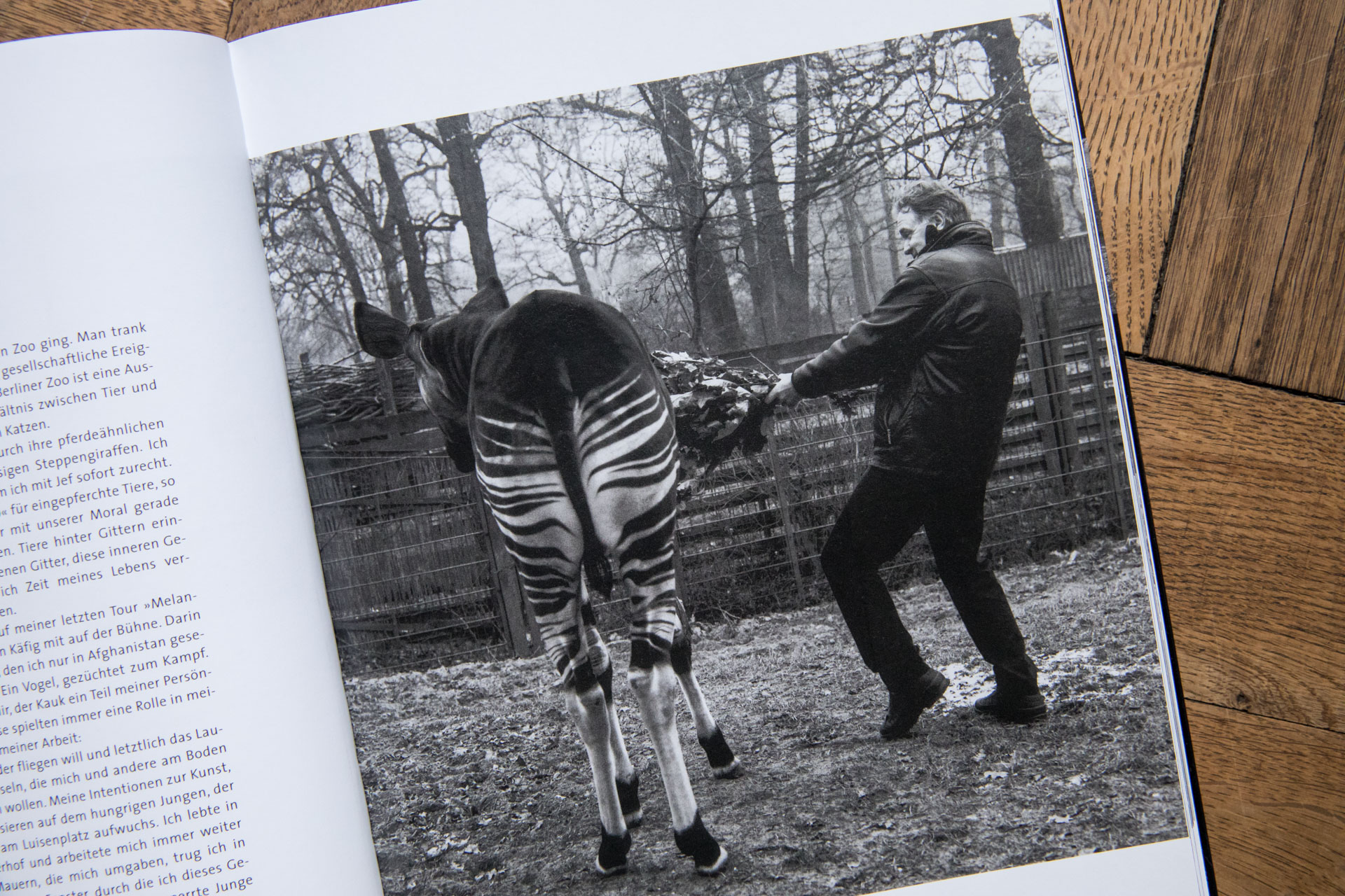 "Große Tiere in Berlin" Prominente im Berliner Zoo